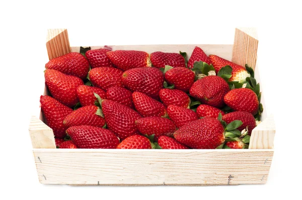 Caja de fresas — Foto de Stock