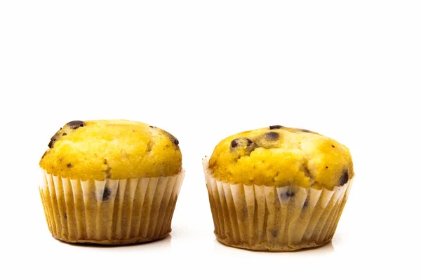 Chocolate cupcakes — Stock Photo, Image