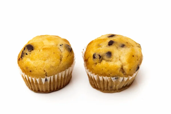 Chocolate cupcakes — Stock Photo, Image