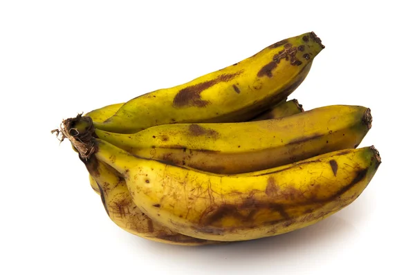 Canary bananas — Stock Photo, Image