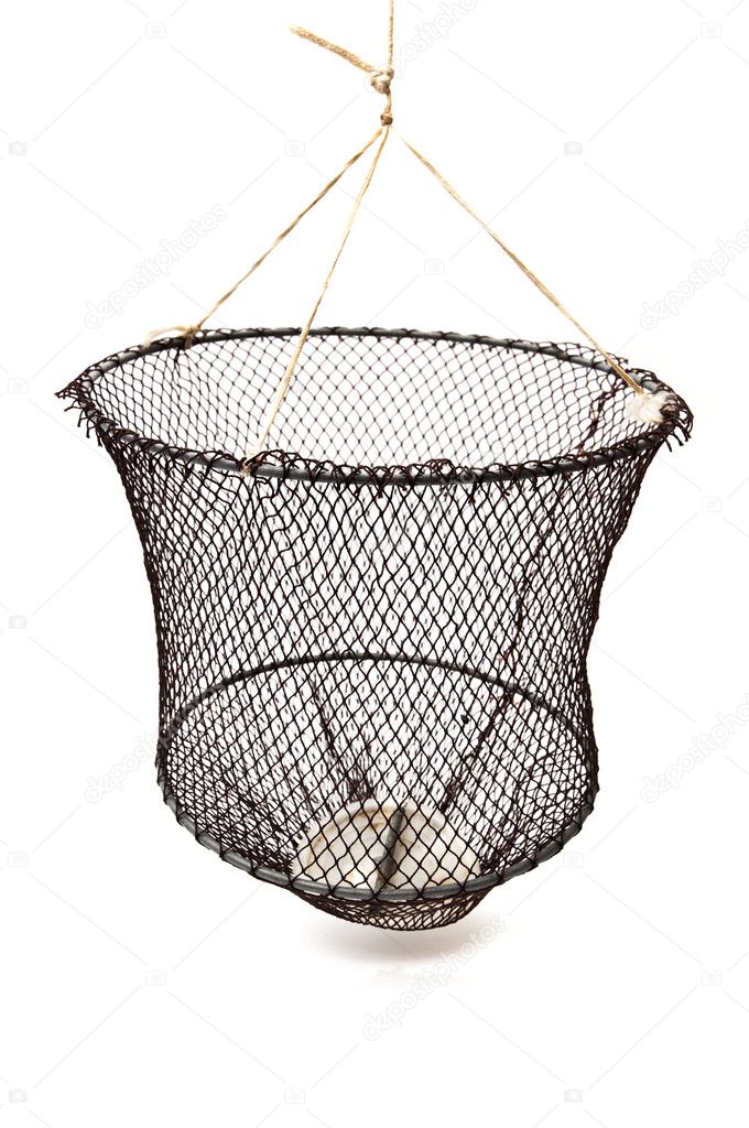 fishnet