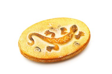 kertenkele ile nesne