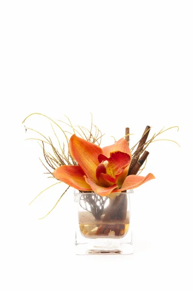 Vidrio con flor —  Fotos de Stock