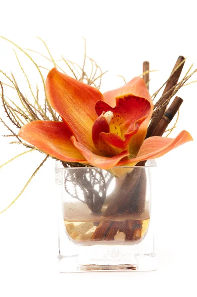 Glas med blomma — Stockfoto