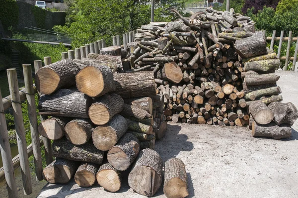 Log pile — Stock Photo, Image