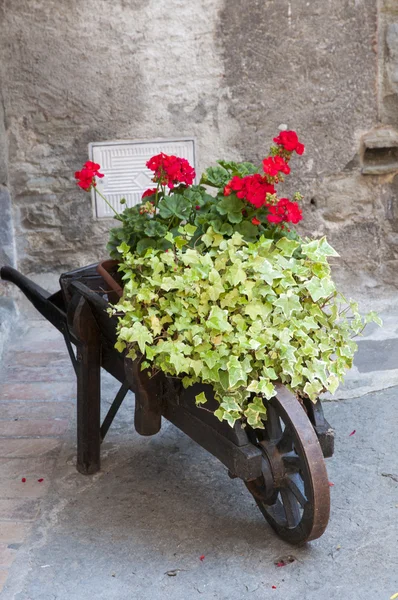 Schubkarre mit Blumen — Stockfoto