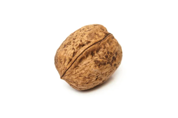 Walnut in de shell — Stockfoto