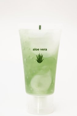 pot aloe vera