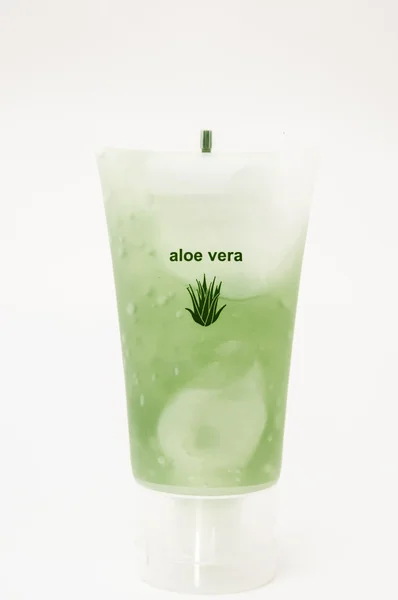 pot aloe vera