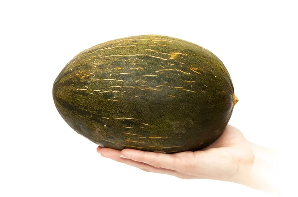 Hand med en melon — Stockfoto