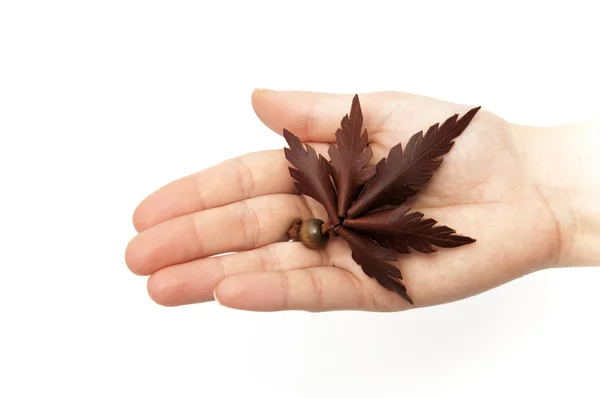 Hand with a marijuana leaf — Stock Photo, Image