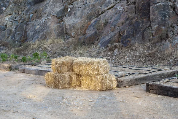 Straw bales tied — Stock Photo, Image