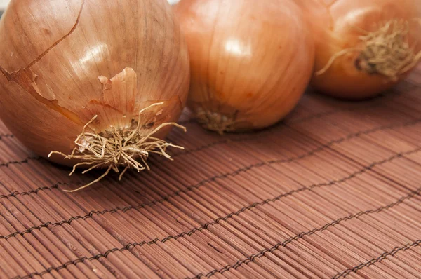 Rohe Zwiebel — Stockfoto