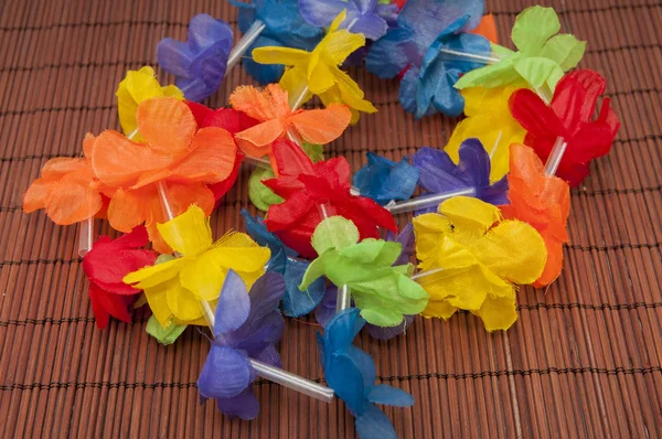 Flores coloridas — Fotografia de Stock