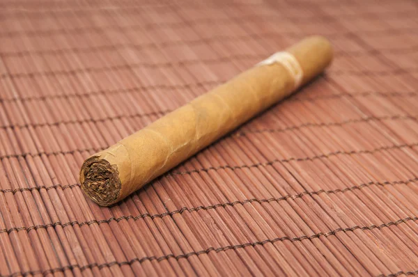 Havana cigar — Stock Photo, Image