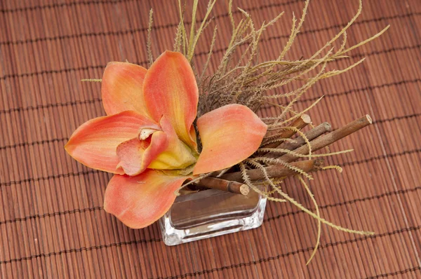 Blume in einer Vase — Stockfoto