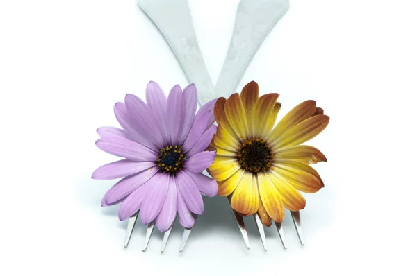 Fork with flowers — Stock Photo, Image