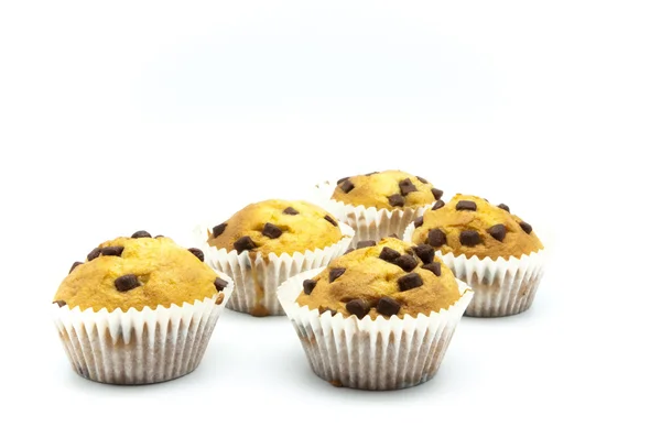 Muffins with chocolate on a white background — Stock Photo, Image