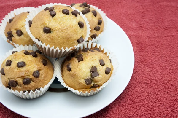 Muffins de chocolate — Fotografia de Stock