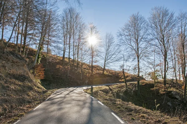 Strada di montagna — Foto Stock