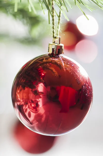 Weihnachtsbaum — Stockfoto