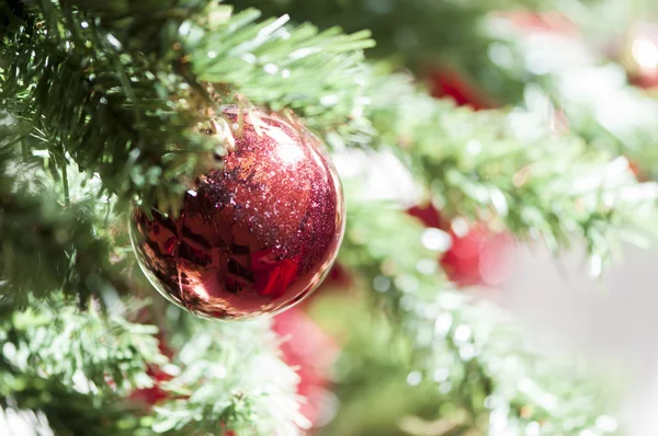 Weihnachtsbaum — Stockfoto