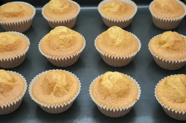 Butter muffins — Stock Photo, Image