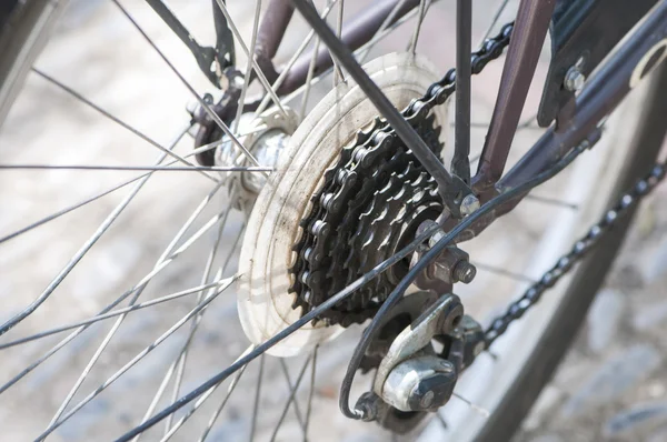 Pinion of the rear wheel — Stock Photo, Image