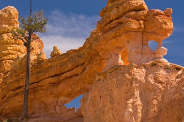 Bryce Kanyonu Ulusal Parkı