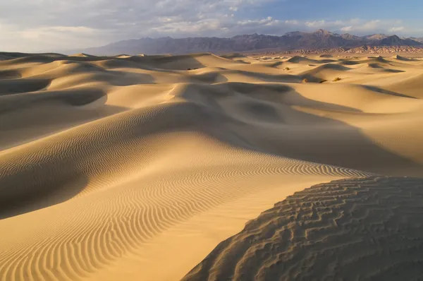 Mesquite flache Sanddünen — Stockfoto