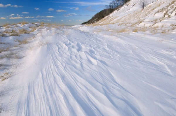 Зима, Saugatuck дюни — стокове фото
