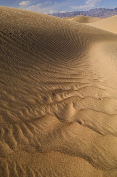 Мескіт плоских піщані дюни — стокове фото