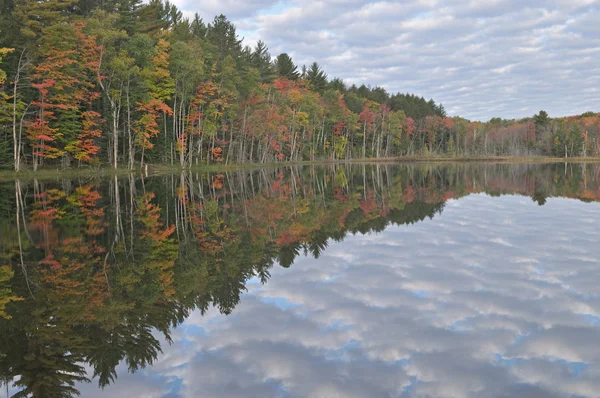 Autumn, Council Lake — Stock Photo, Image