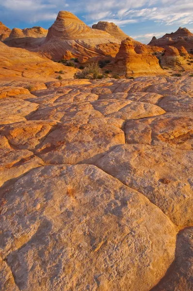 Coyote Buttes — Stock fotografie