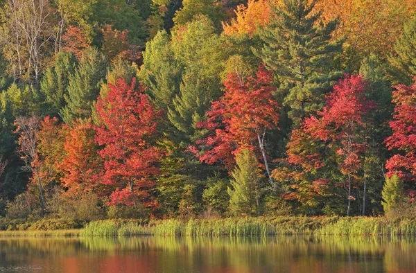 Podzim, doe jezero — Stock fotografie