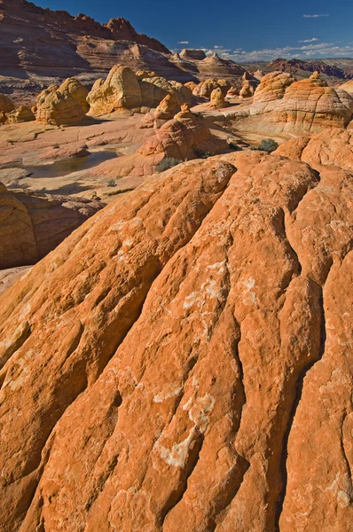 Çakal buttes — Stok fotoğraf