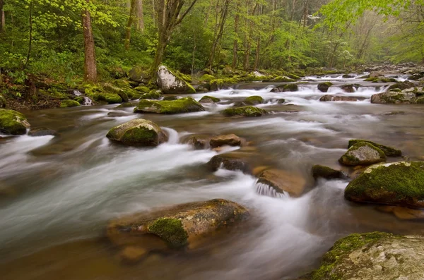 Großer Bach — Stockfoto