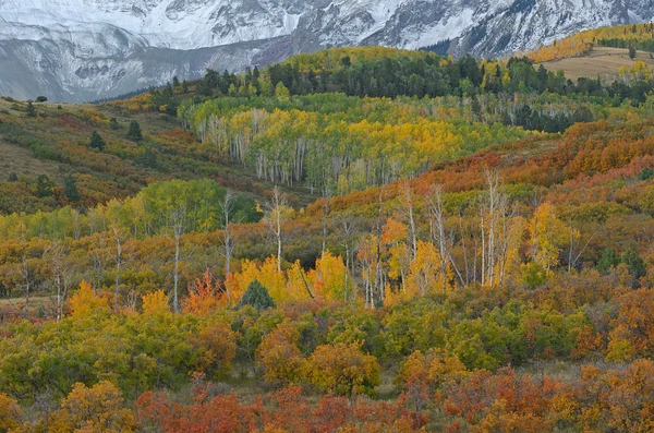 Otoño, Dallas Divide — Foto de Stock