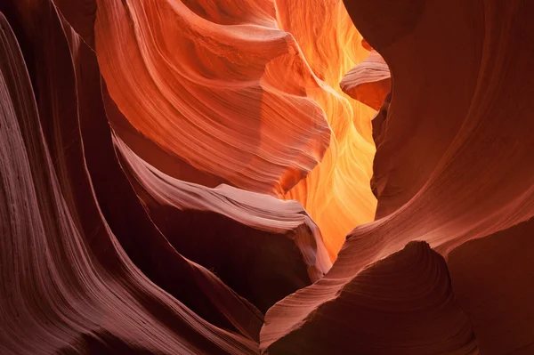 alt antilop Kanyonu yuvası