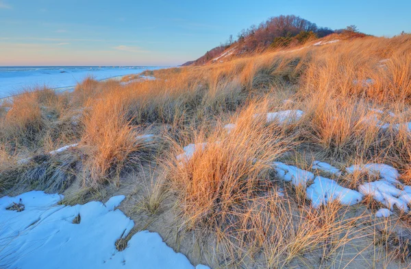 Winter, Saugatuck Dunes — Stock Photo, Image
