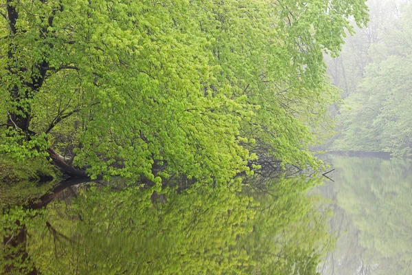 Primavera, río Kalamazoo — Foto de Stock