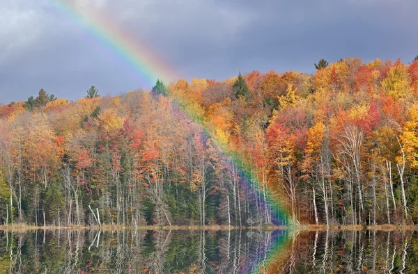 Automne, Lac Scout — Photo