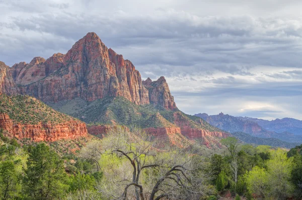 Bekçi, zion national park — Stok fotoğraf