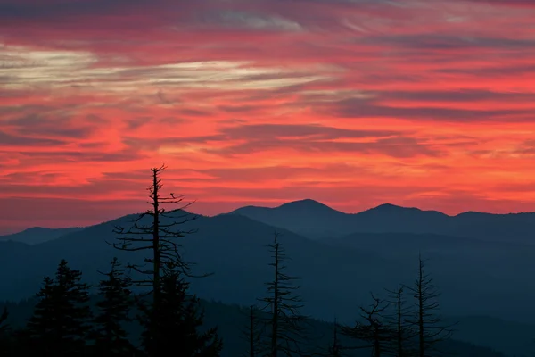 Sunrise Great Smoky Mountains — Stock Photo, Image