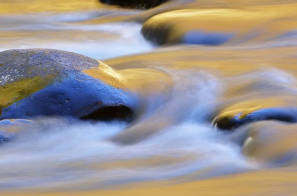 Corredeiras de rio pequeno — Fotografia de Stock