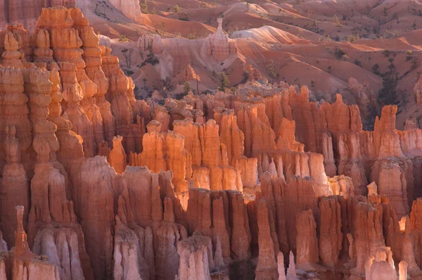 Bryce-Canyon-Nationalpark — Stockfoto