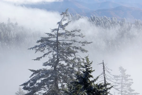 Winter landschap grote rokerige bergen — Stockfoto