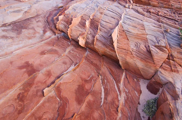 Valley of Fire — Stok fotoğraf