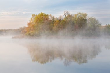 Bahar shoreline, whitford Gölü