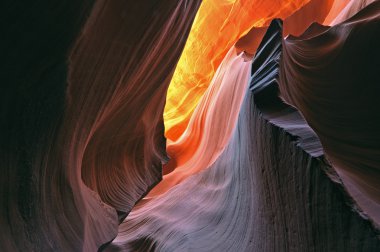 alt antilop Kanyonu yuvası